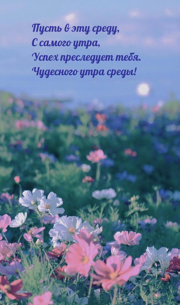 Пусть в эту среду, с самого утра, успех преследует тебя.