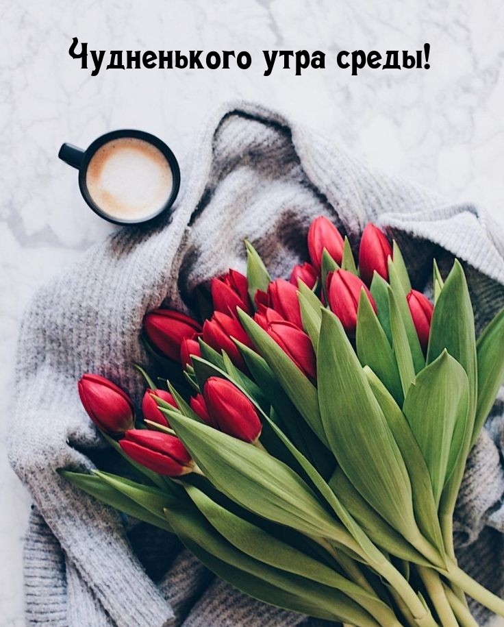 Чудненького утра среды!