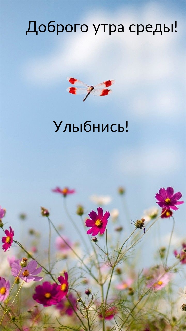 Доброго утра среды! Улыбнись!
