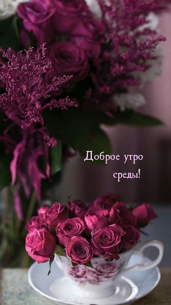 Доброе утро среды!