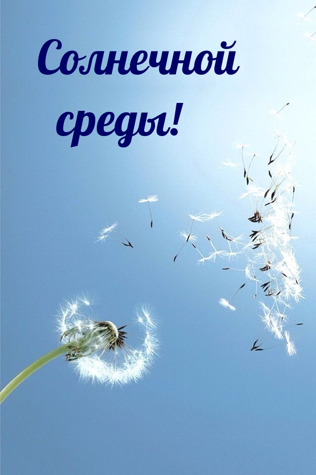 Картинка - Солнечной среды!.