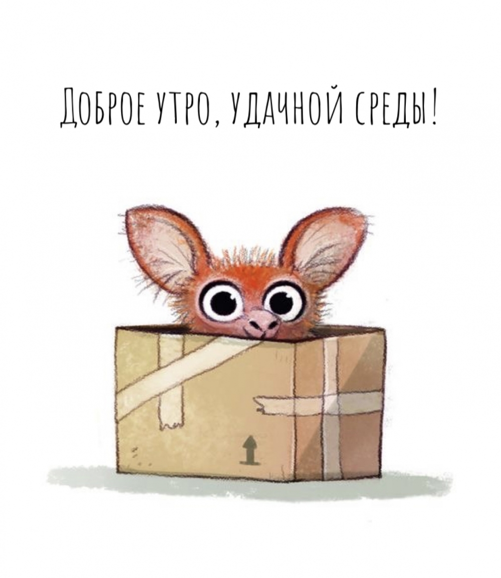 Доброе утро, удачной среды!