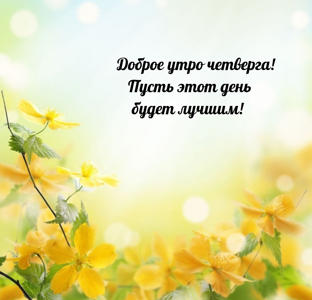 Доброе утро четверга! Пусть этот день будет лучшим!