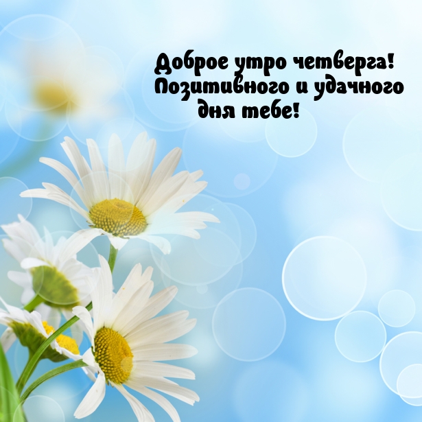 Доброе утро четверга! Позитивного и удачного дня тебе!