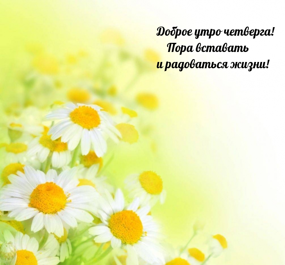 Доброе утро четверга! Пора вставать и радоваться жизни!