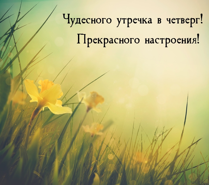 Чудесного утречка в четверг! Прекрасного настроения!