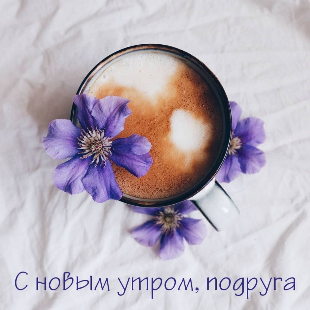 С новым утром, подруга