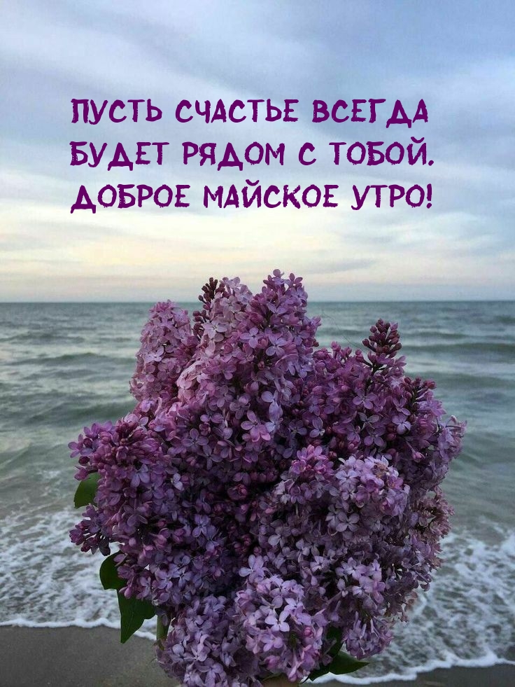 Пусть счастье всегда будет рядом с тобой. Доброе майское утро!