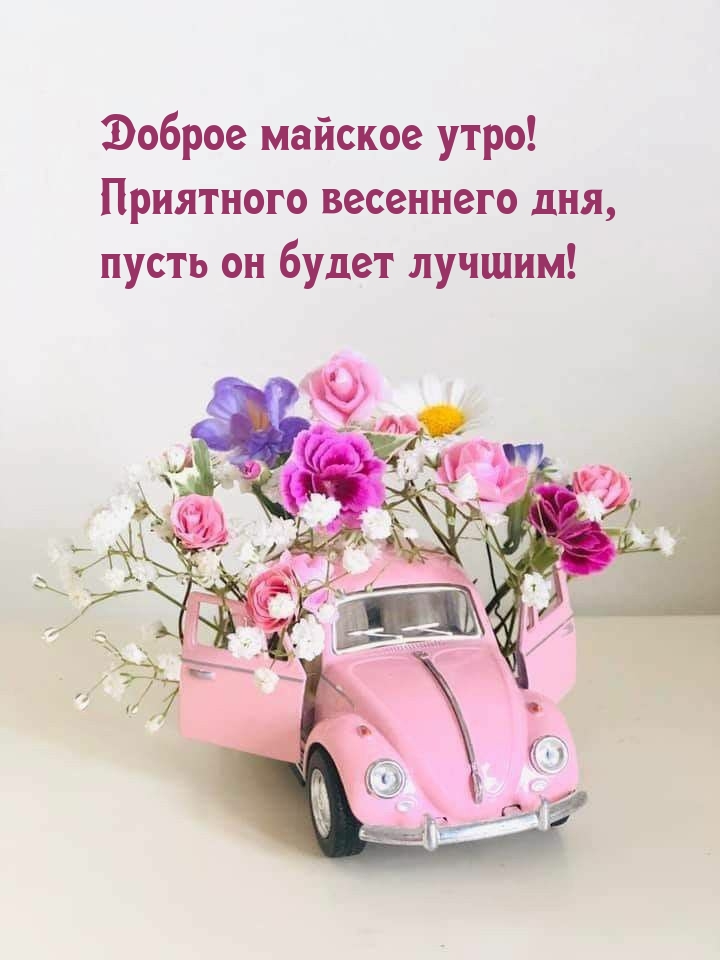 Доброе майское утро! Приятного дня, пусть он будет лучшим!
