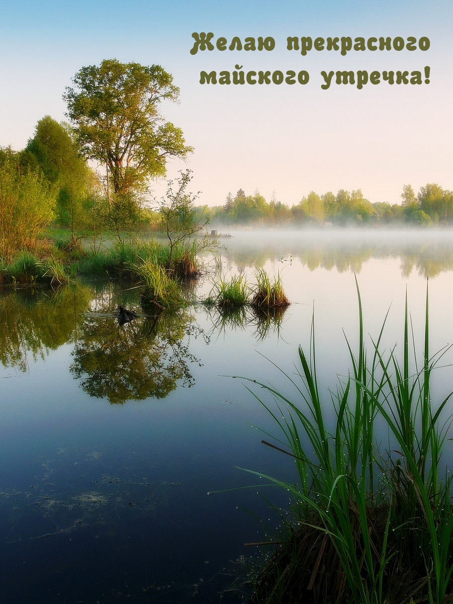 Желаю прекрасного майского утречка!
