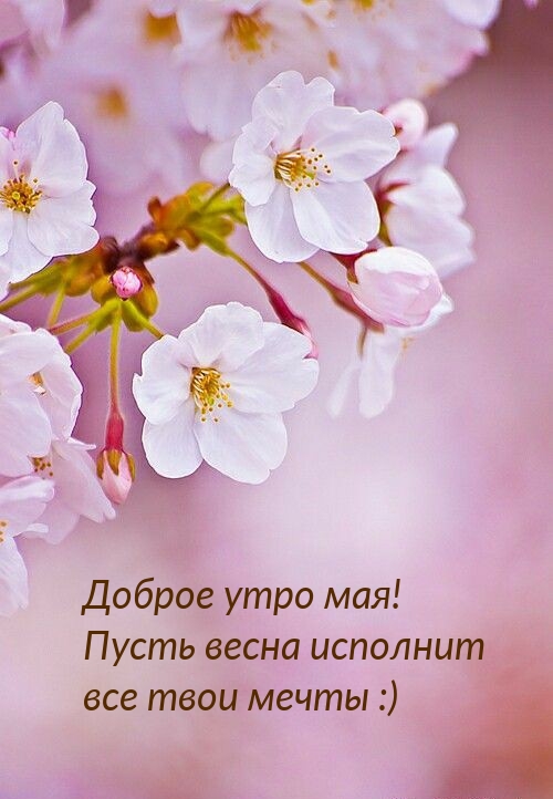 Доброе утро мая! Пусть весна исполнит все твои мечты :)
