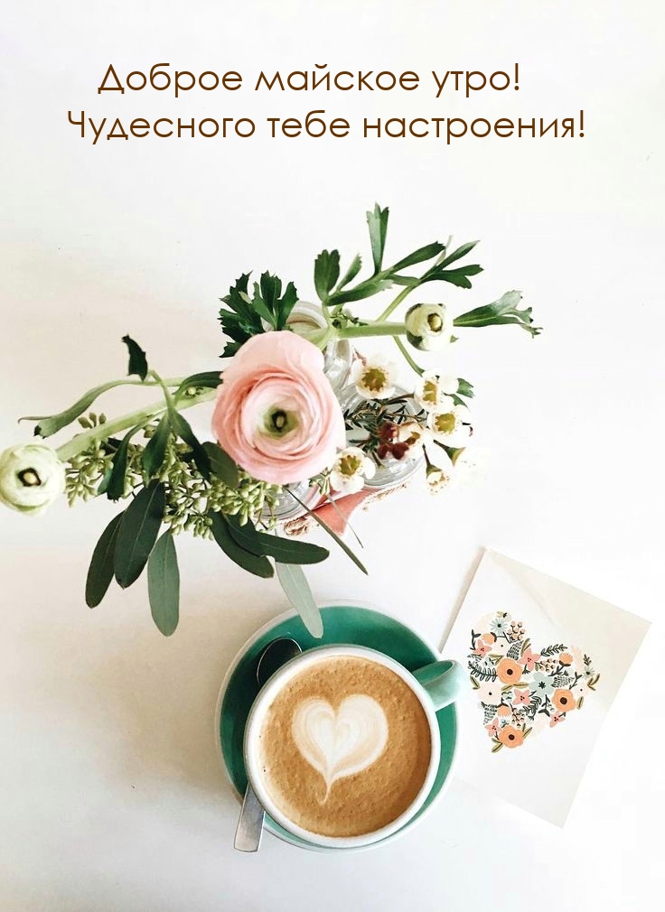 Доброе майское утро! Чудесного тебе настроения!