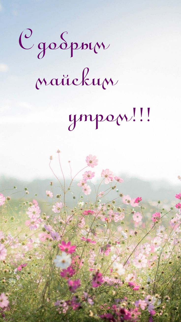 С добрым майским утром!