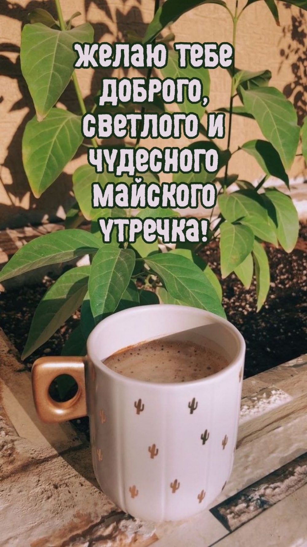 Желаю тебе доброго, светлого и чудесного майского утречка!