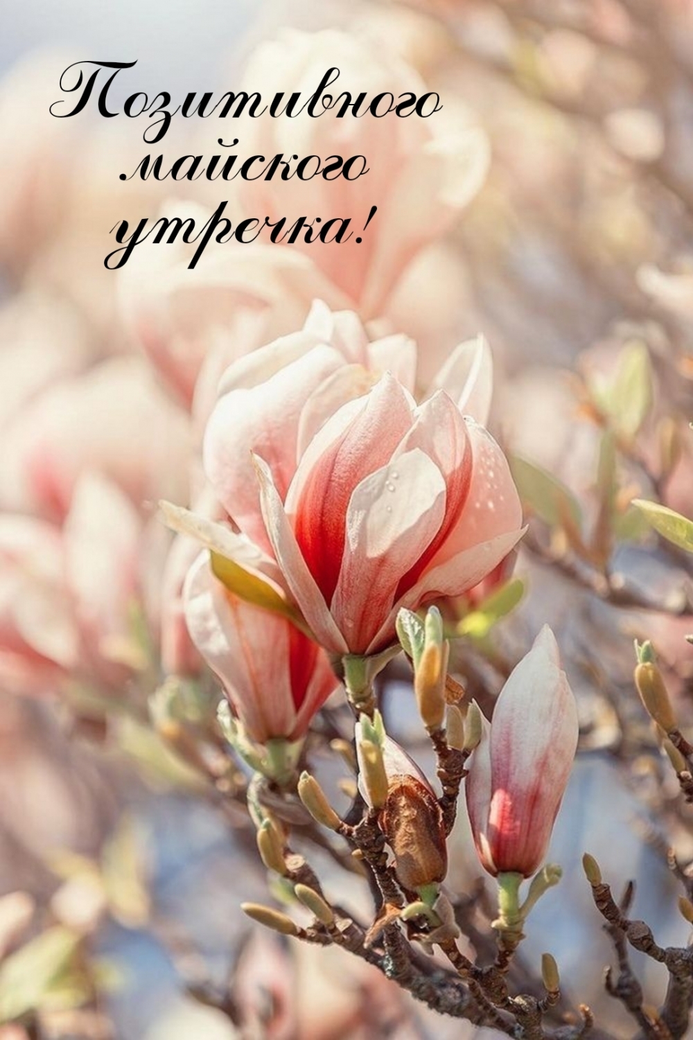 Позитивного майского утречка!