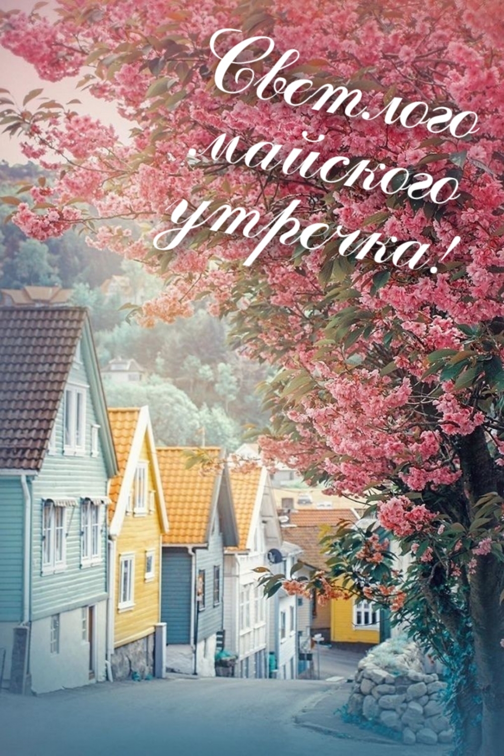 Светлого майского утречка!