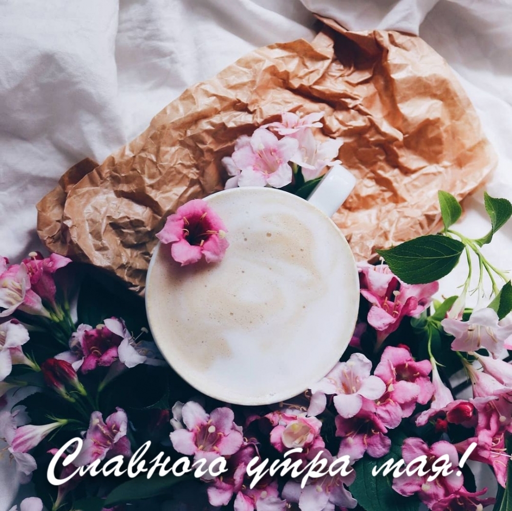 Славного утра мая!