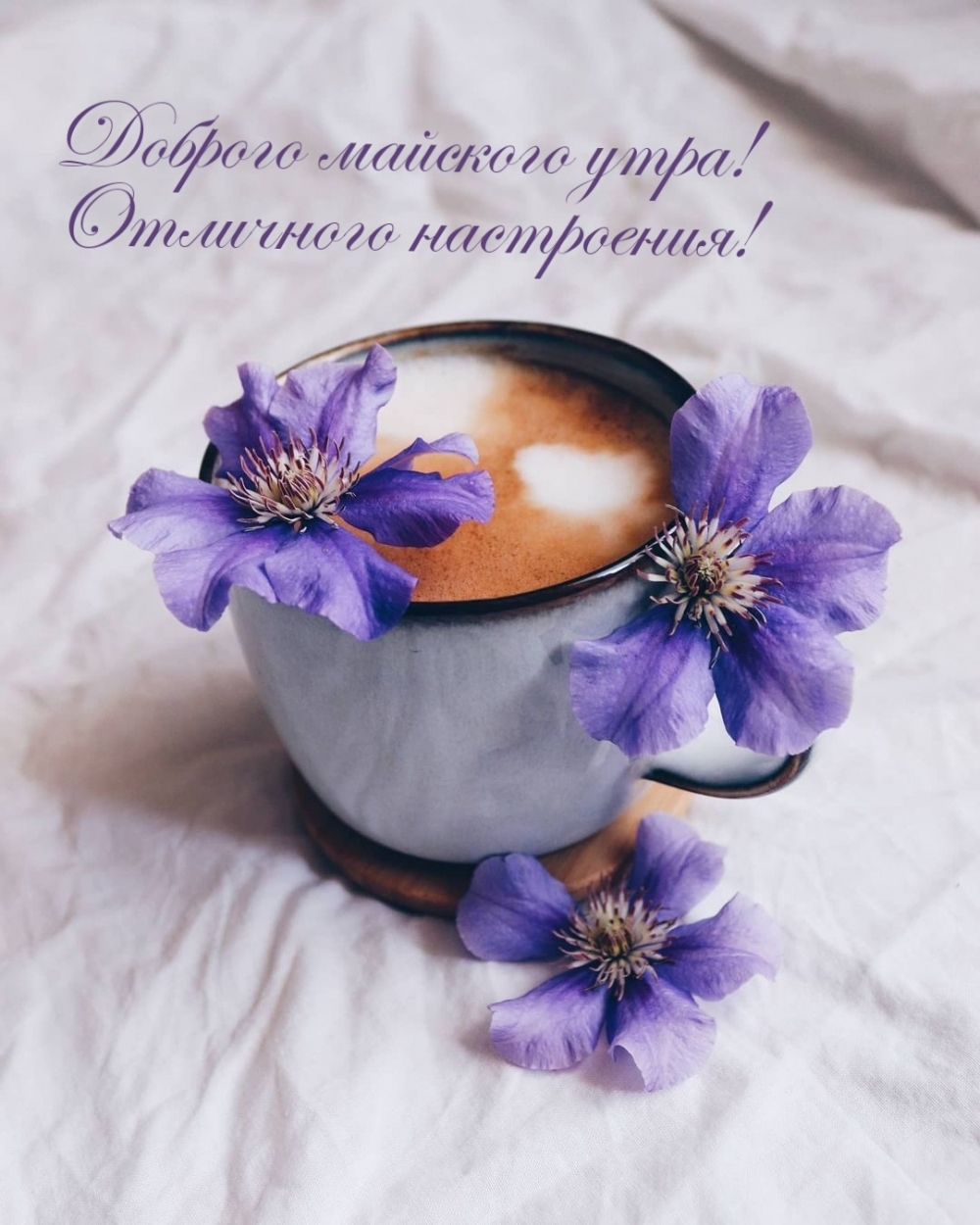 Доброго майского утра! Отличного настроения!