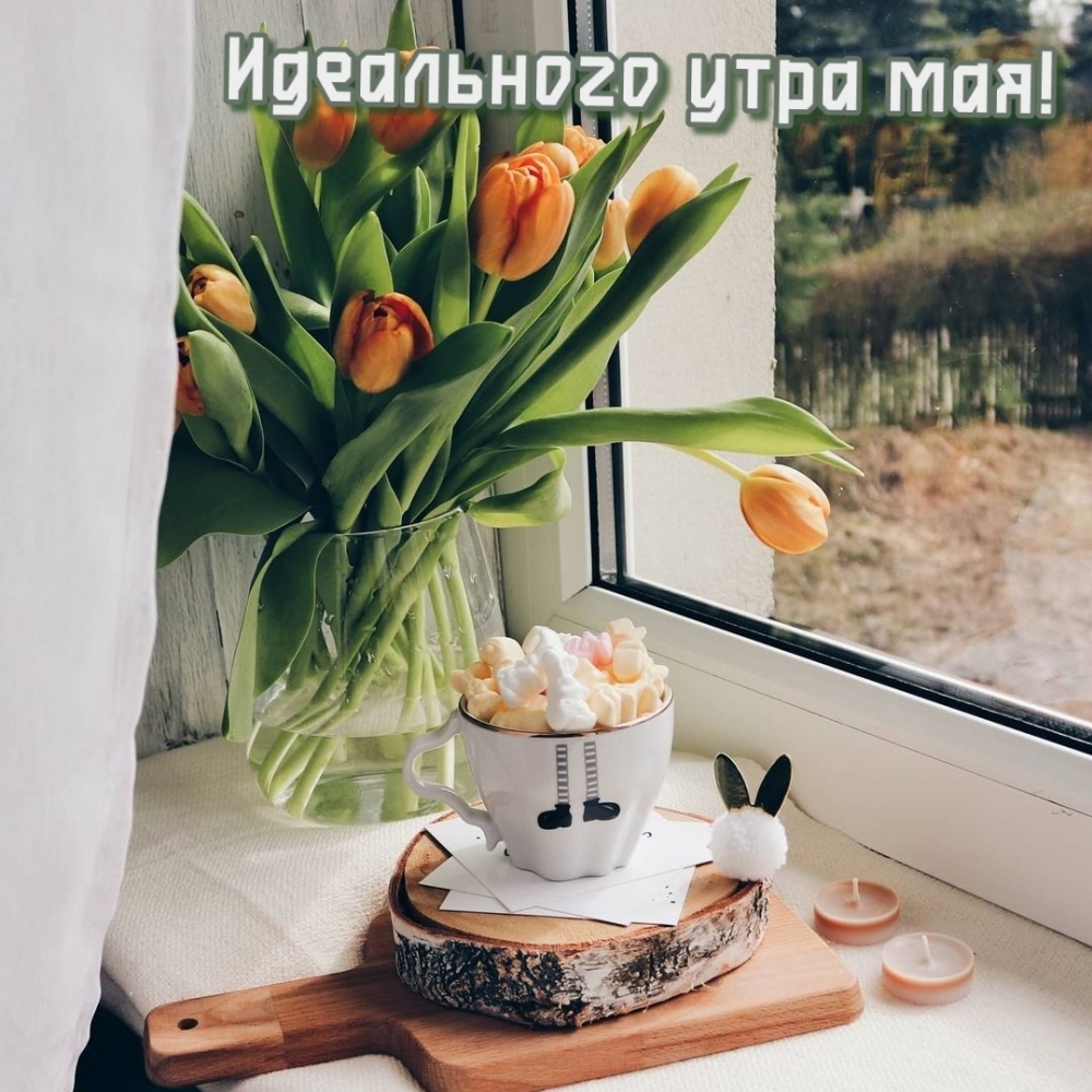 Идеального утра мая!