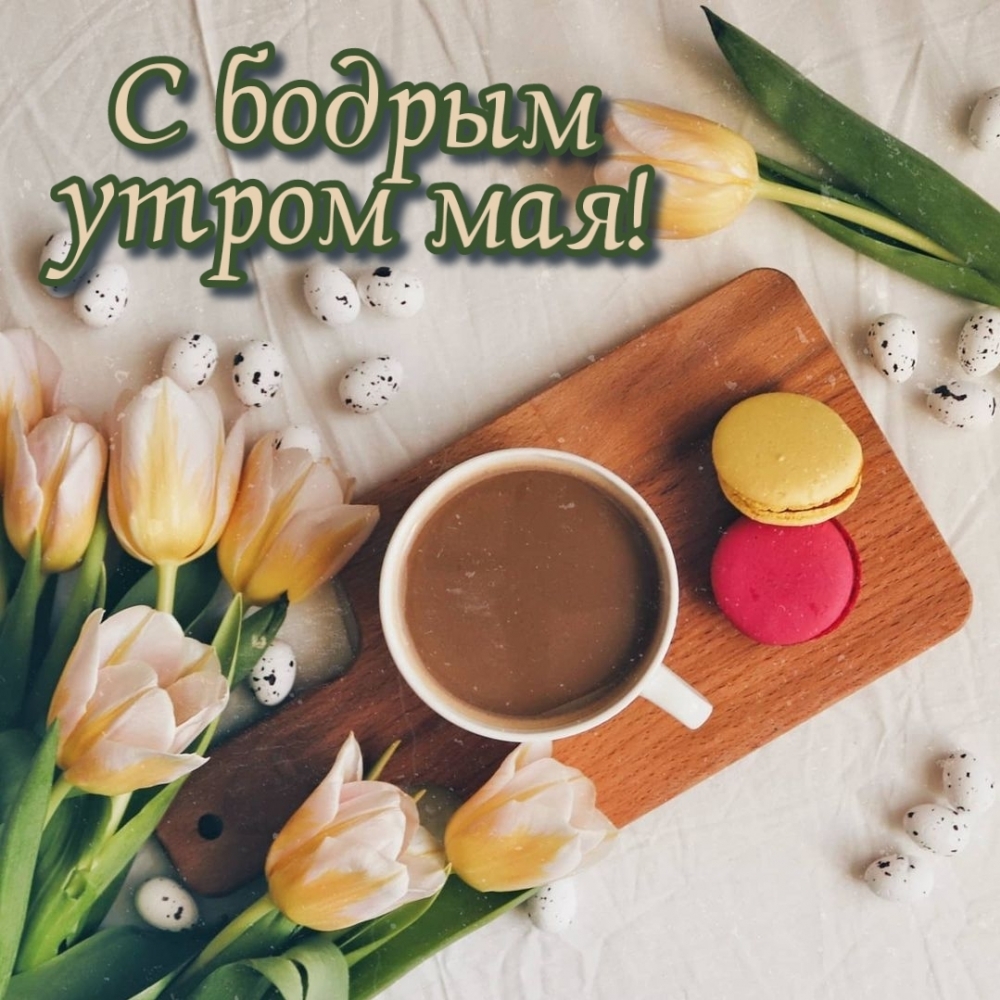 С бодрым утром мая!