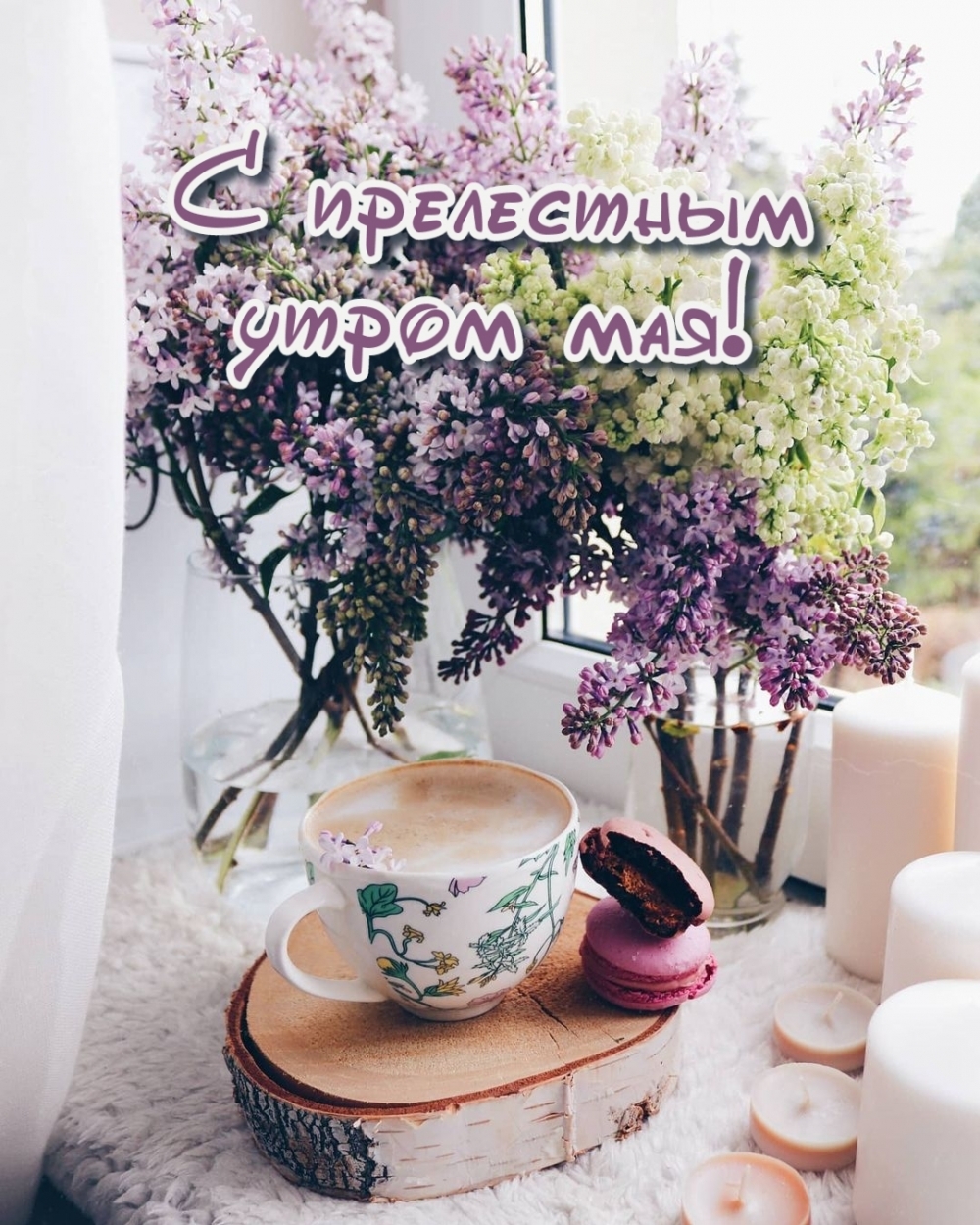С прелестным утром мая!