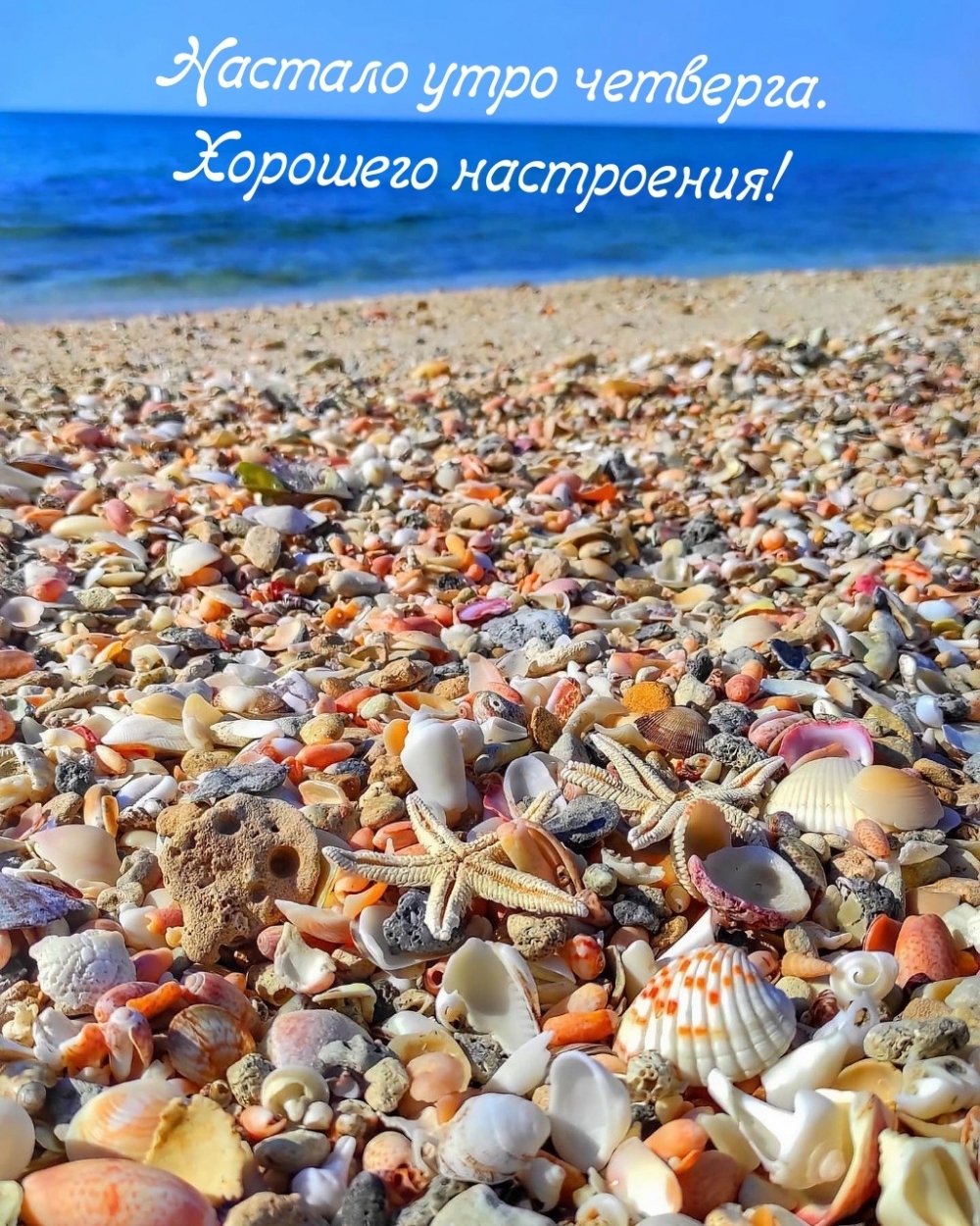 Настало утро четверга. Хорошего настроения!