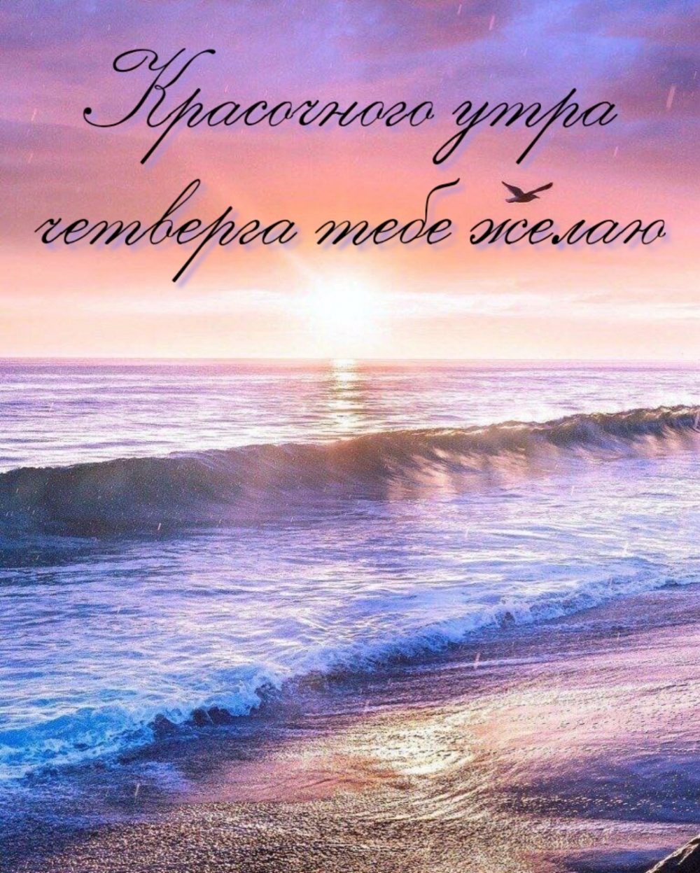 Красочного утра четверга тебе желаю