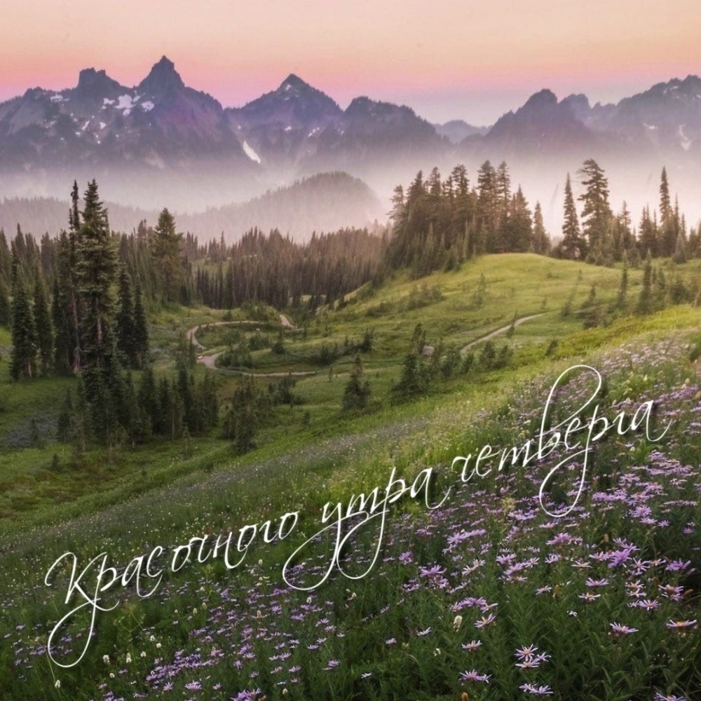 Красочного утра четверга