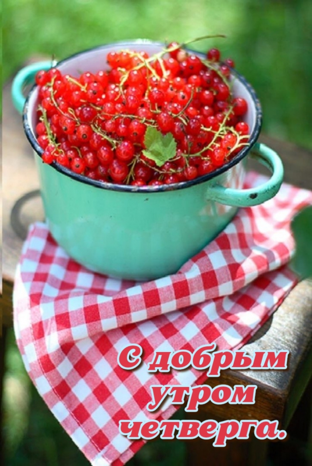 Картинка - С добрым утром четверга..