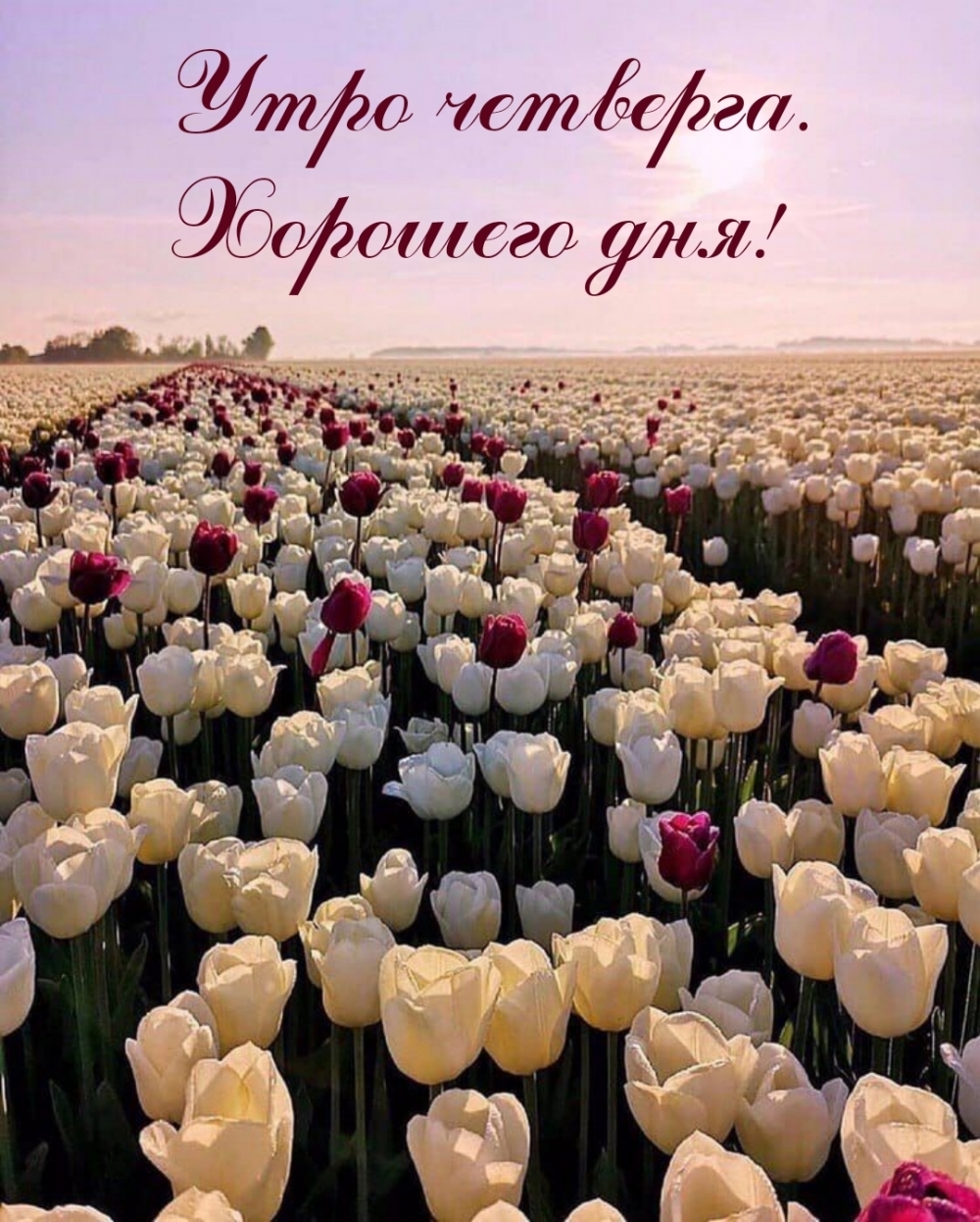 Утро четверга. Хорошего дня!