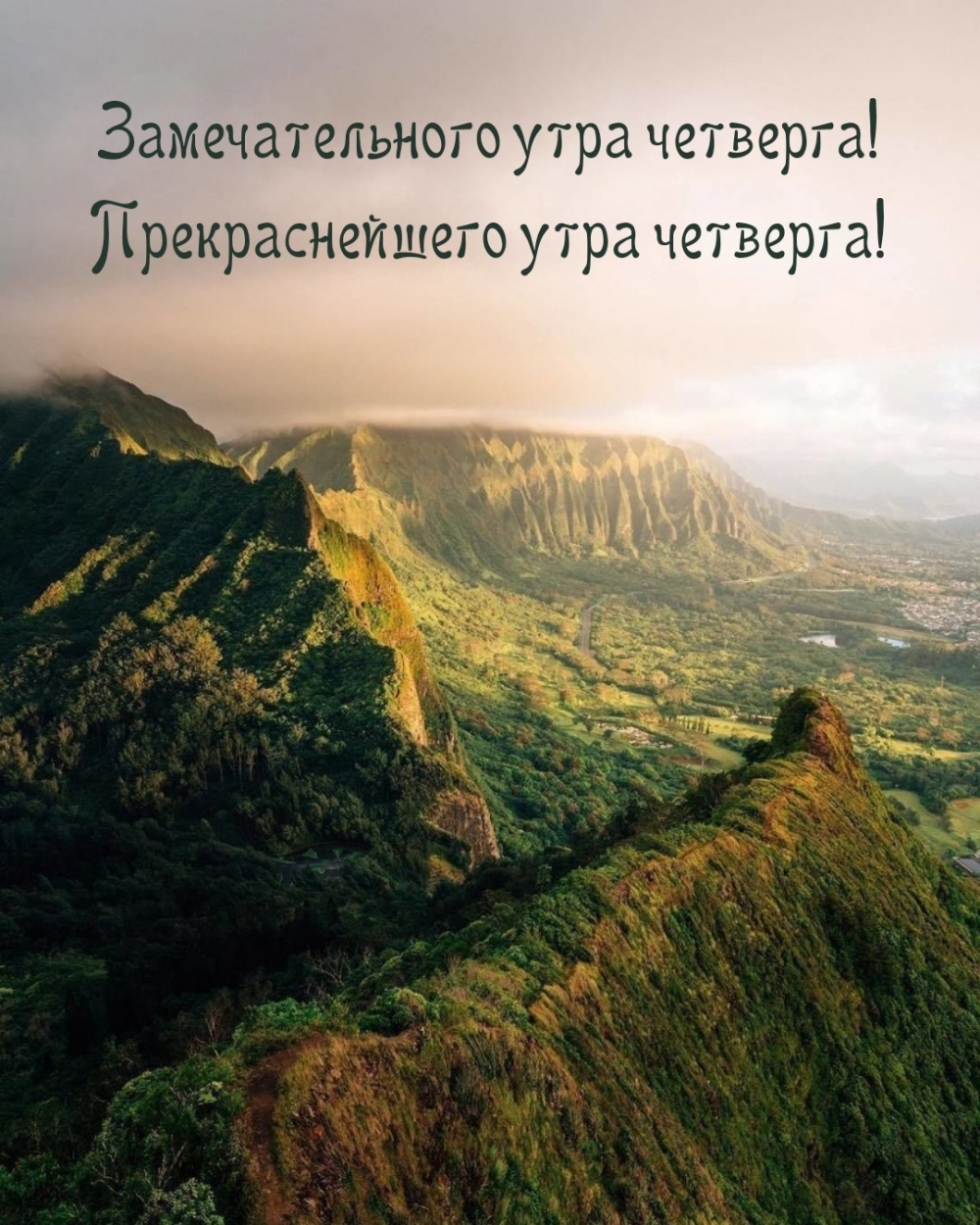 Замечательного утра четверга! Прекраснейшего утра четверга!