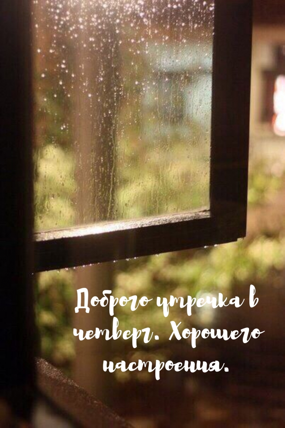 Доброго утречка в четверг. Хорошего настроения.