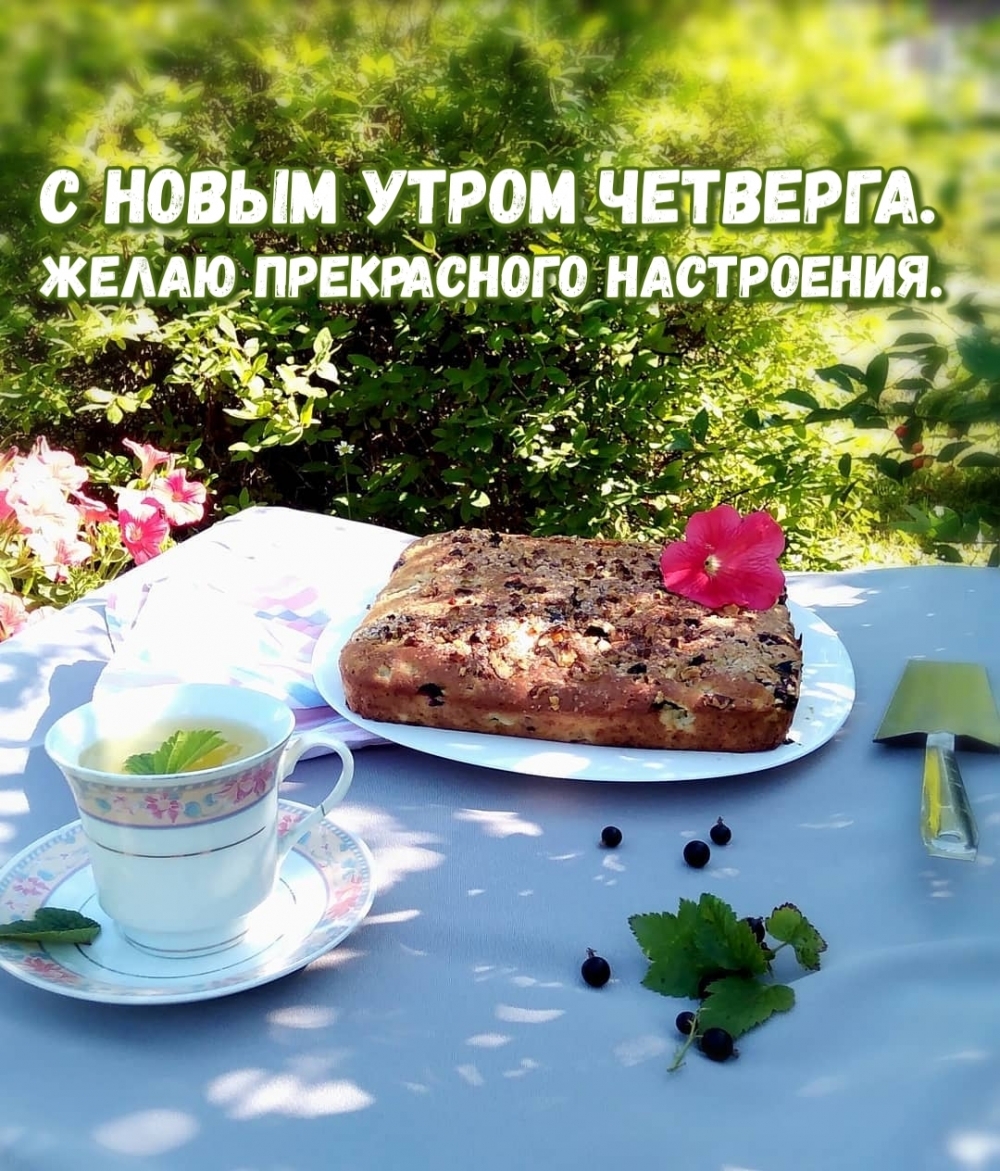 Пусть утро четверга будет замечательным. Хорошего настроения.