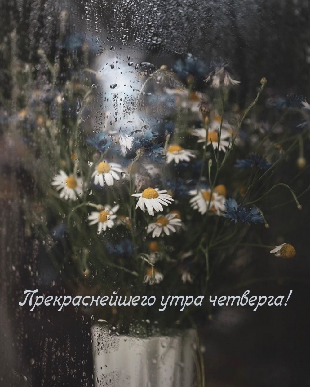 Прекраснейшего утра четверга!