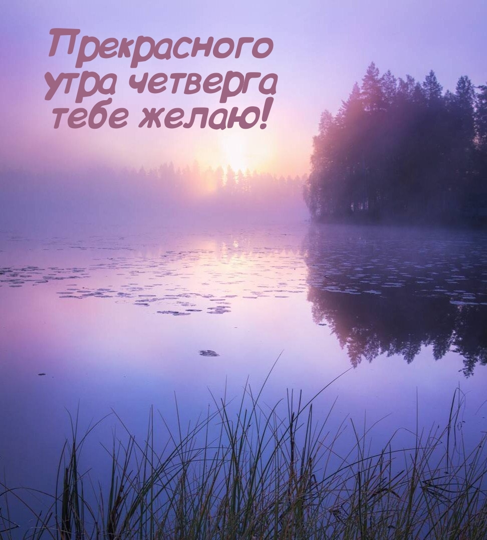 Прекрасного утра четверга тебе желаю!