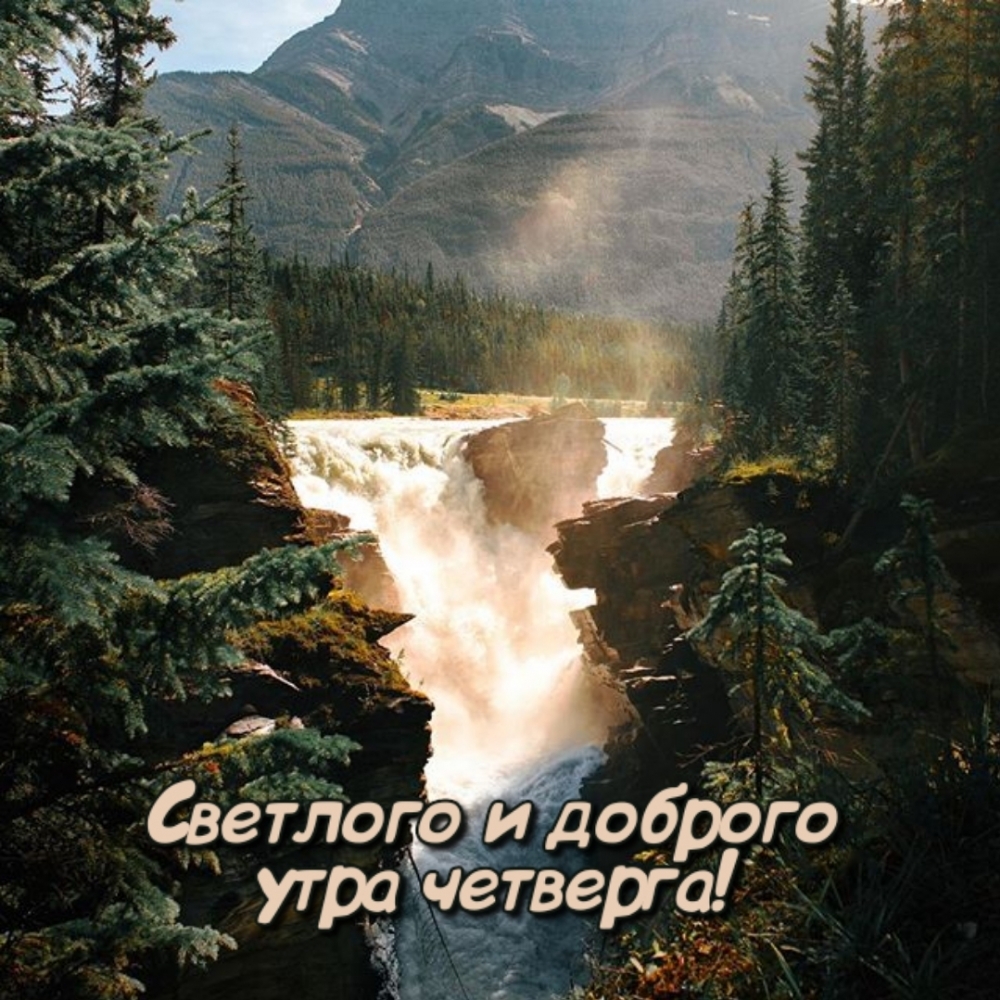 Светлого и доброго утра четверга!