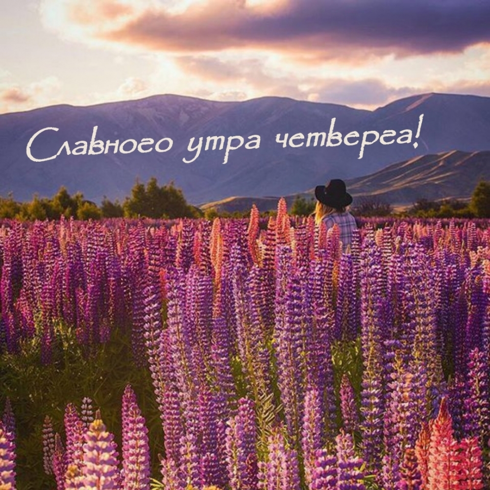 Славного утра четверга!