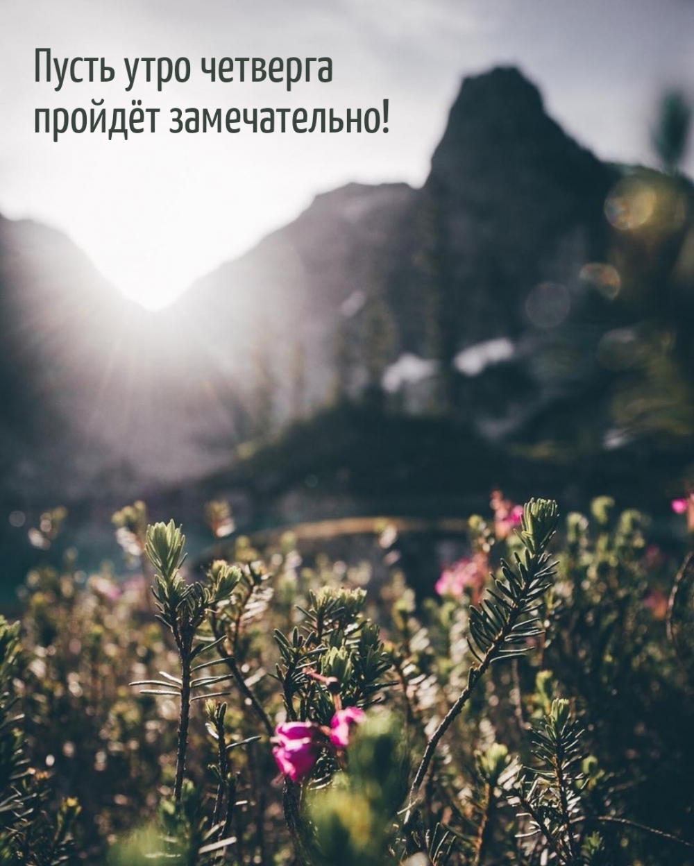 Пусть утро четверга пройдёт замечательно!