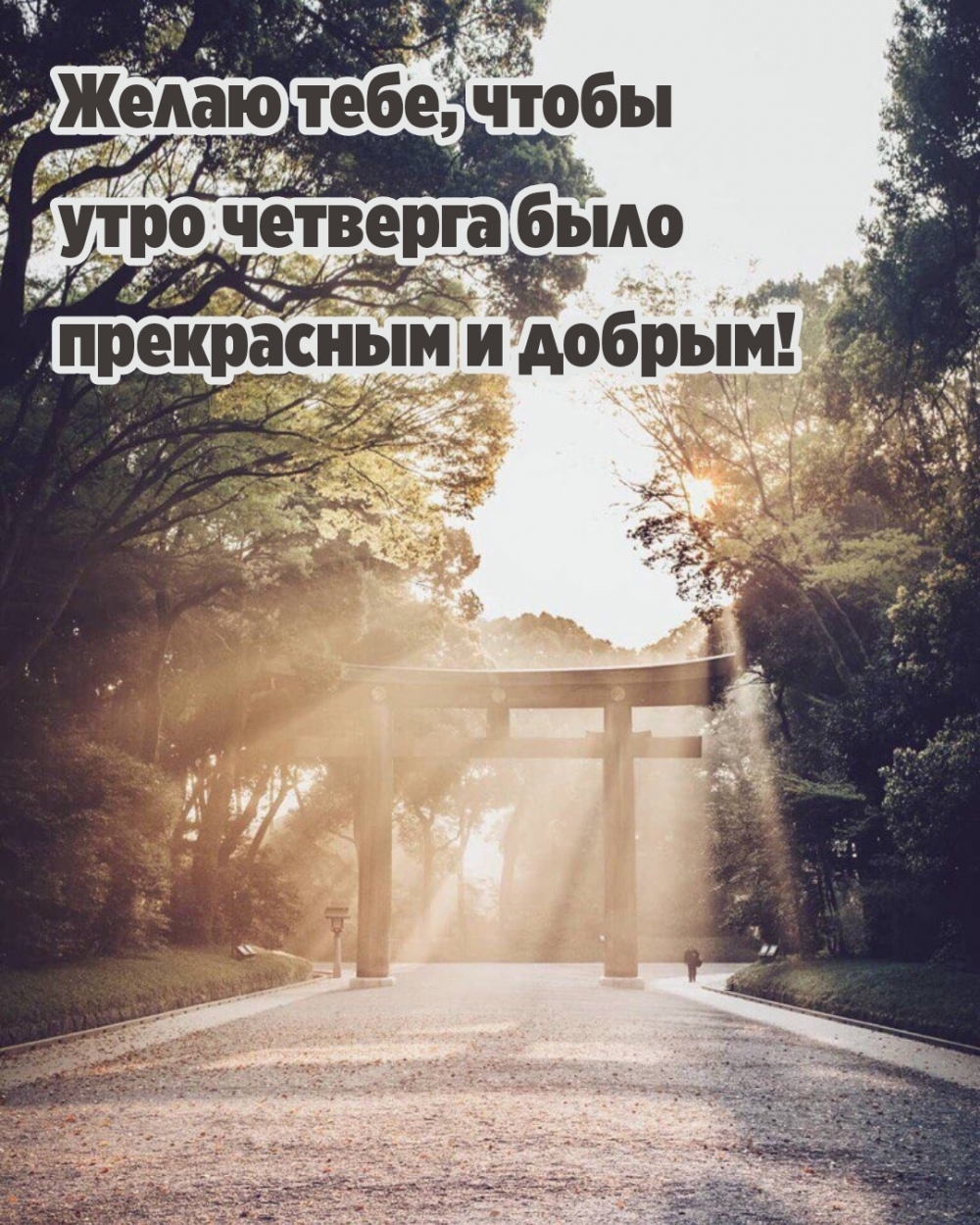 Желаю тебе, чтобы утро четверга было прекрасным и добрым!