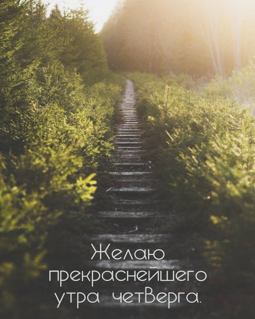 Желаю прекраснейшего утра четверга.