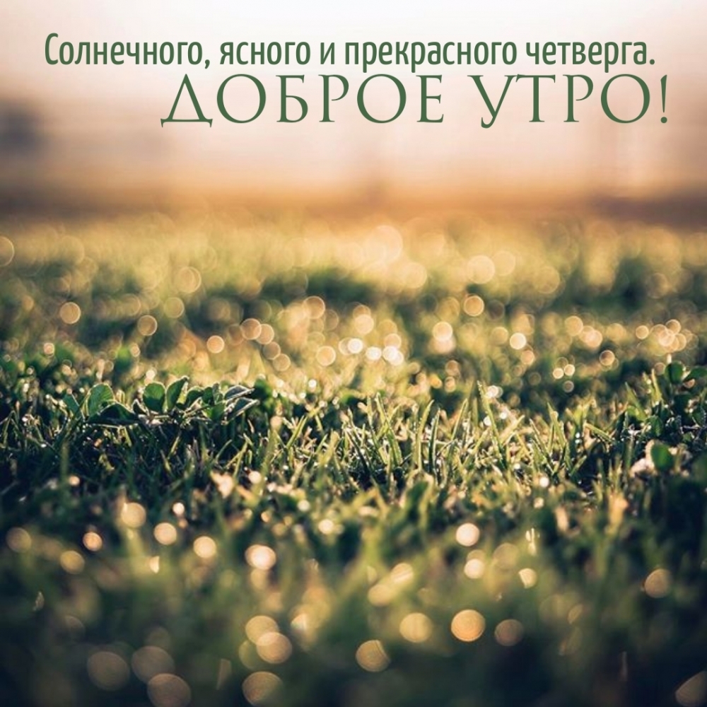 Солнечного, ясного и прекрасного четверга. Доброе утро!