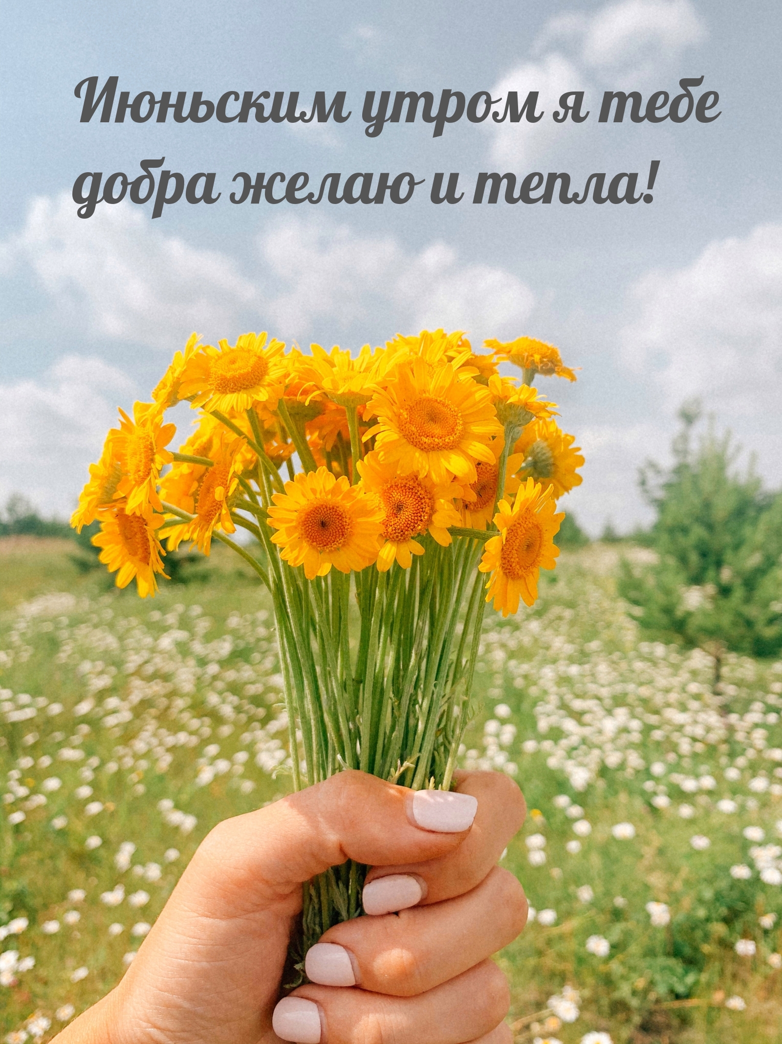 Июньским утром я тебе добра желаю и тепла!