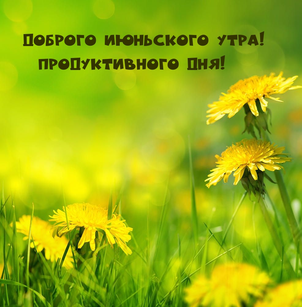 Доброго июньского утра! Продуктивного дня!