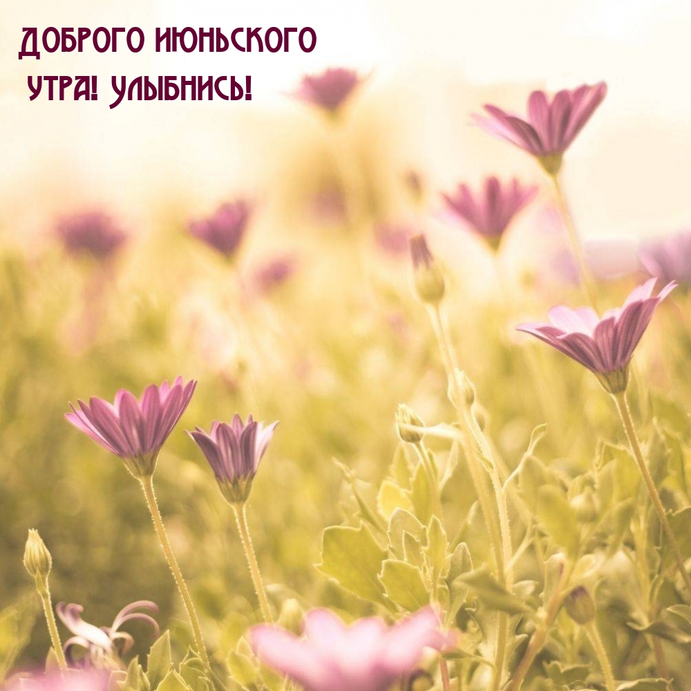 Доброго июньского утра! Улыбнись!
