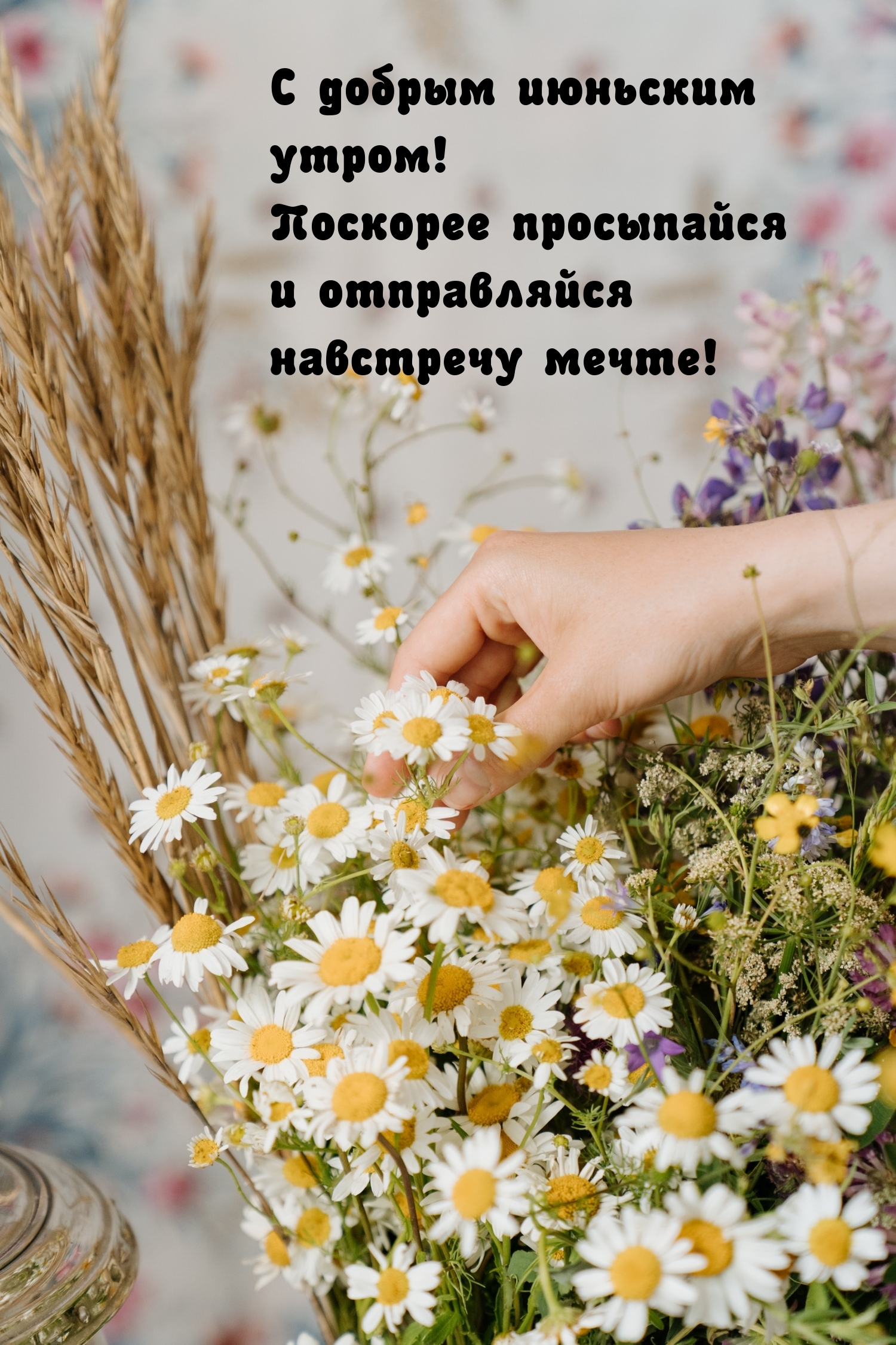 С добрым июньским утром! Поскорее просыпайся