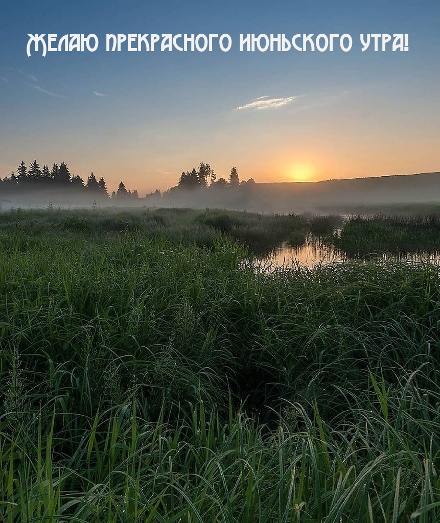 Желаю прекрасного июньского утра!