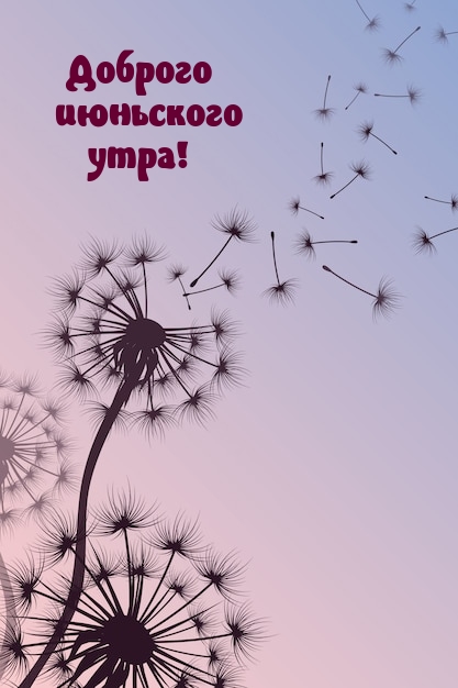 Доброго июньского утра!
