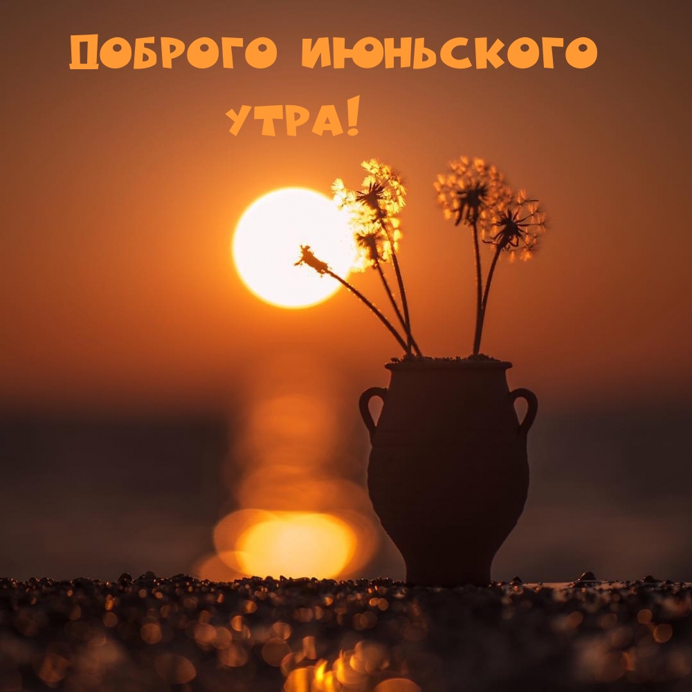 Доброго июньского утра!