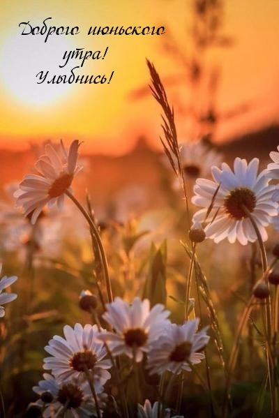 Доброго июньского утра! Улыбнись!