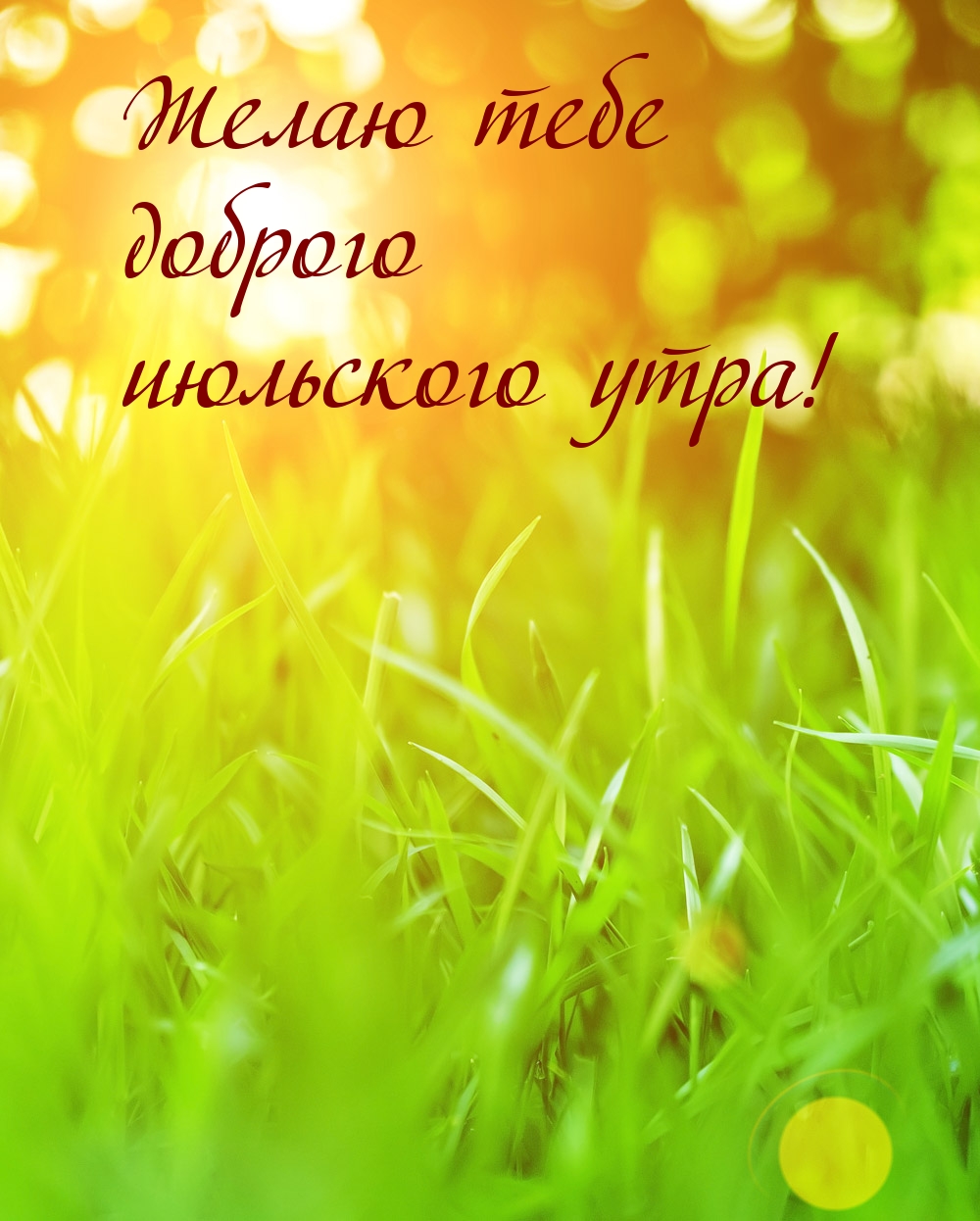 Желаю тебе доброго июльского утра!